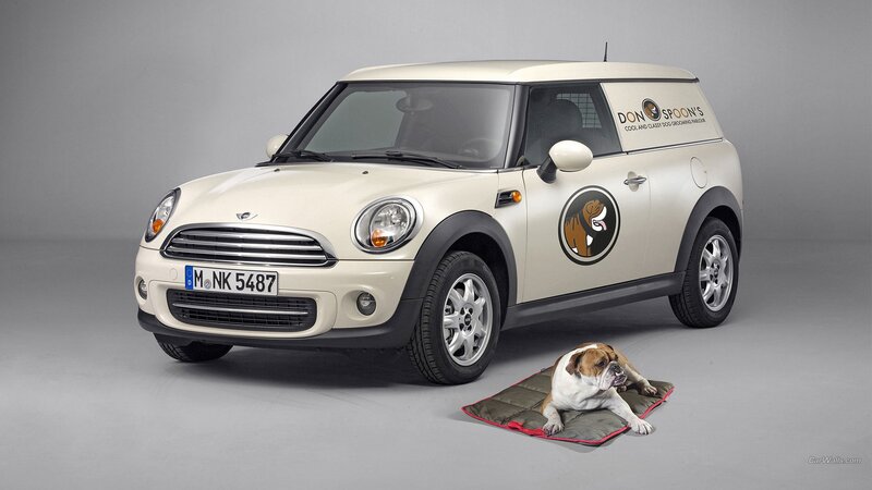Bulldog on Mat