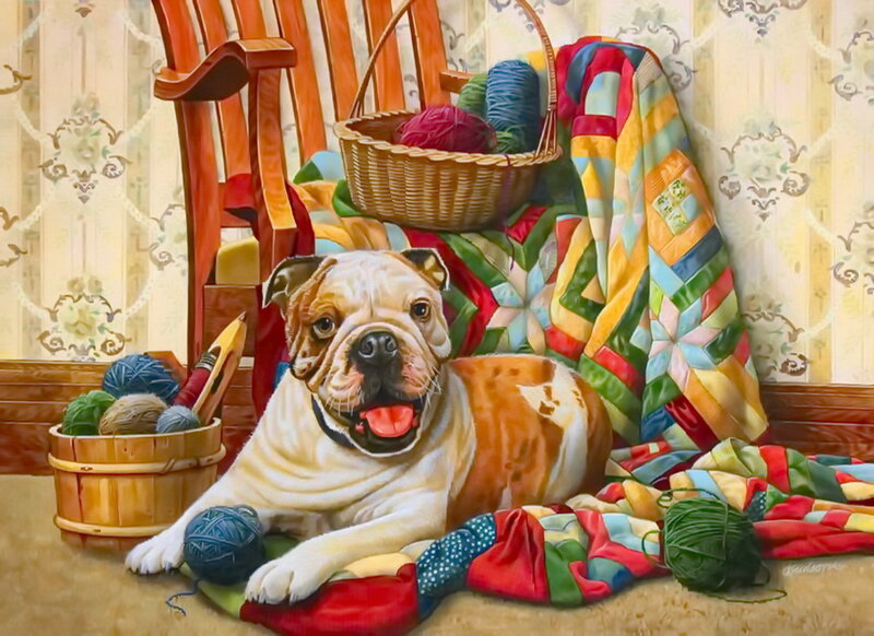 Bulldog on Quilt