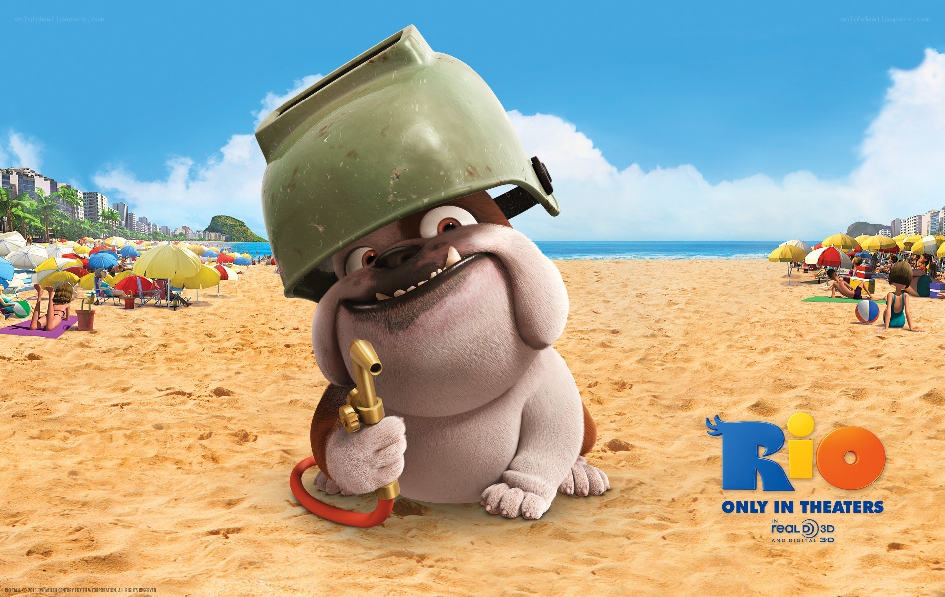 Bulldog on the beach