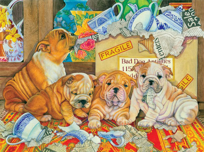 Bulldog Puppies — Brown