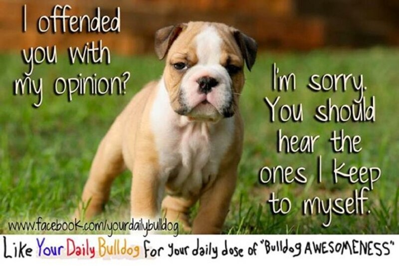 Bulldog Puppy — Green