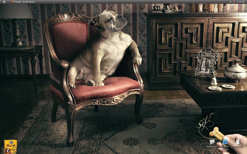 Bulldog Sitting in Chair