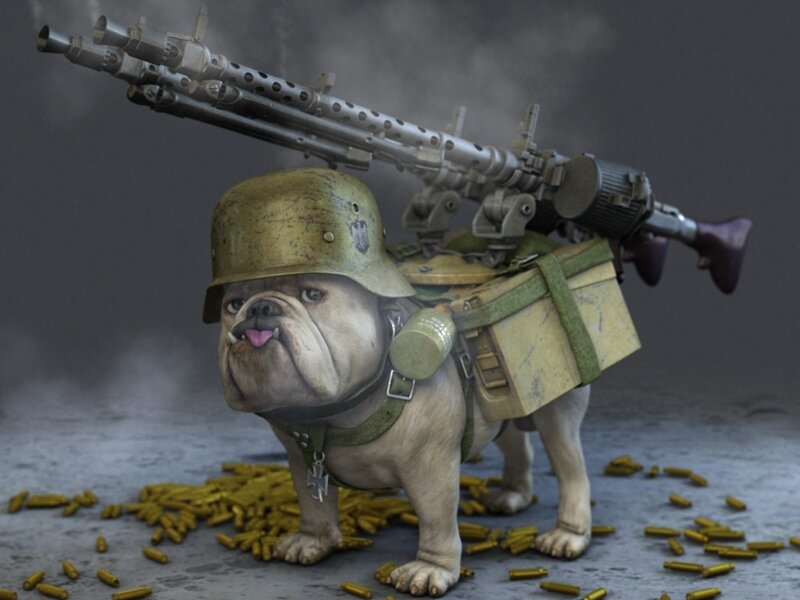 Bulldog Soldier