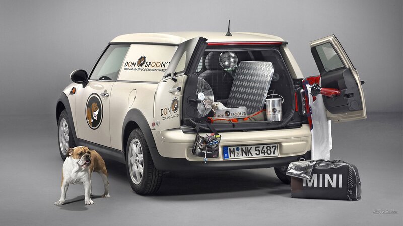 Bulldog Standing Beside Car