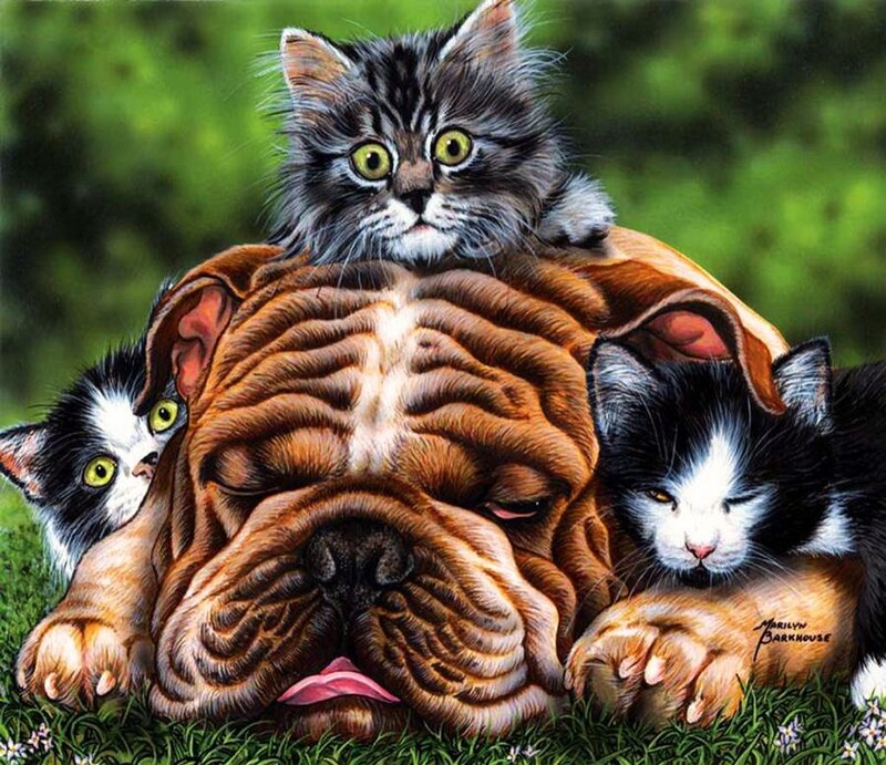 Bulldog with Kittens — Brown