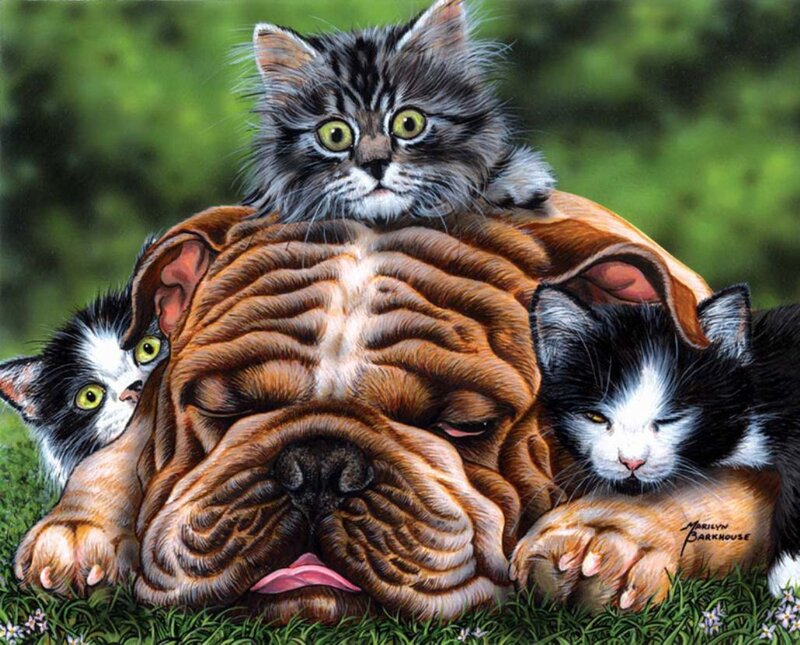 Bulldog with Kittens