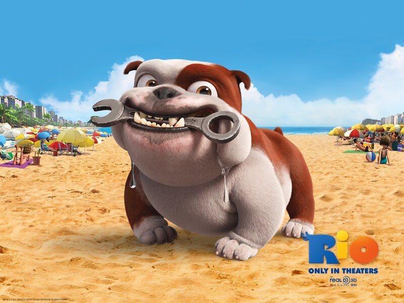 Bulldog with wrench on beach