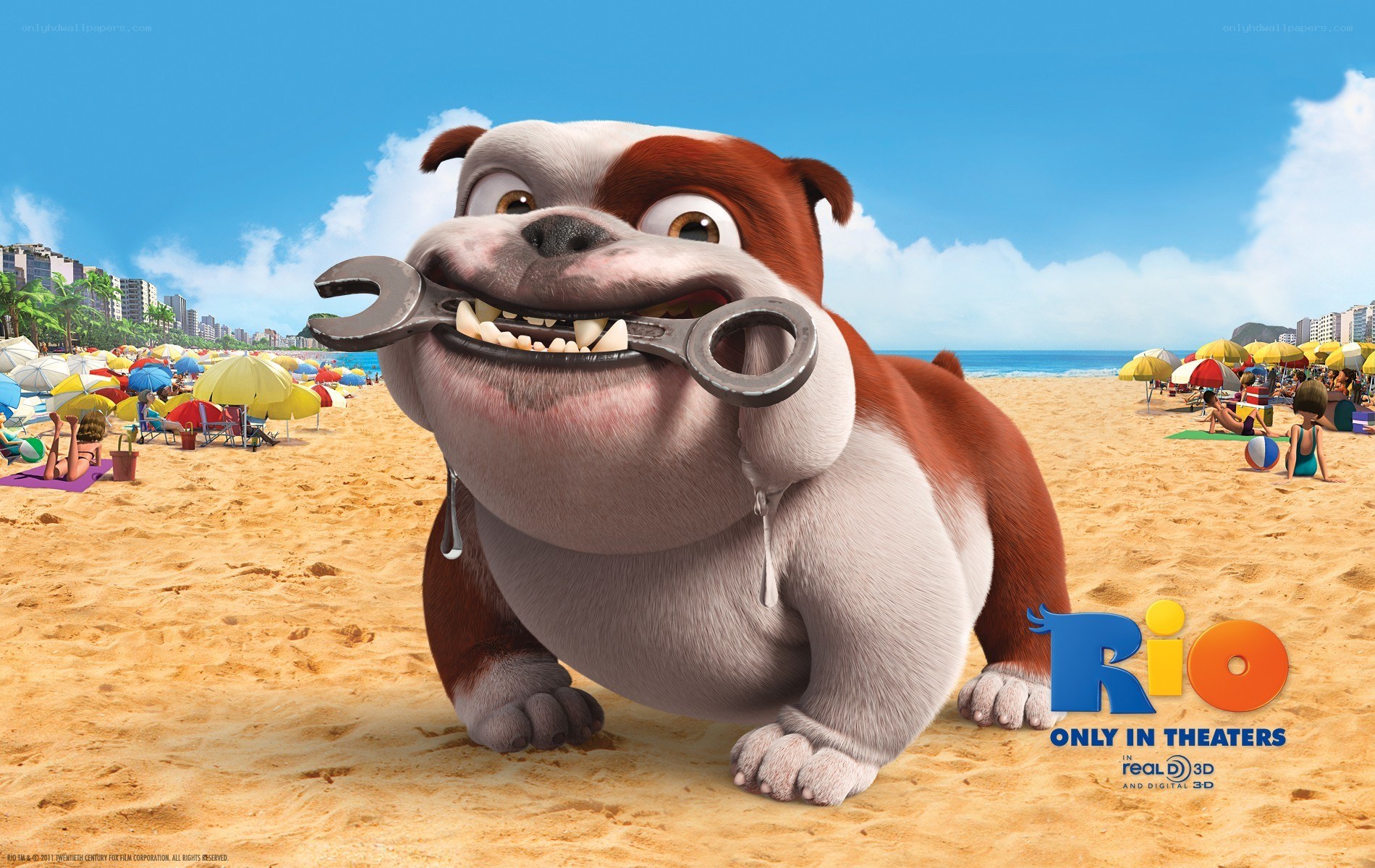 Bulldog with wrench on beach