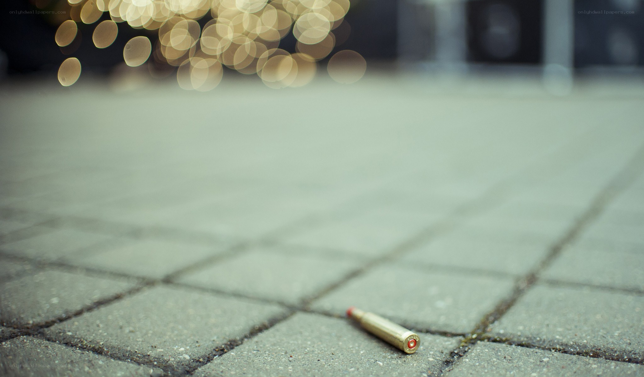Bullet casing on pavement