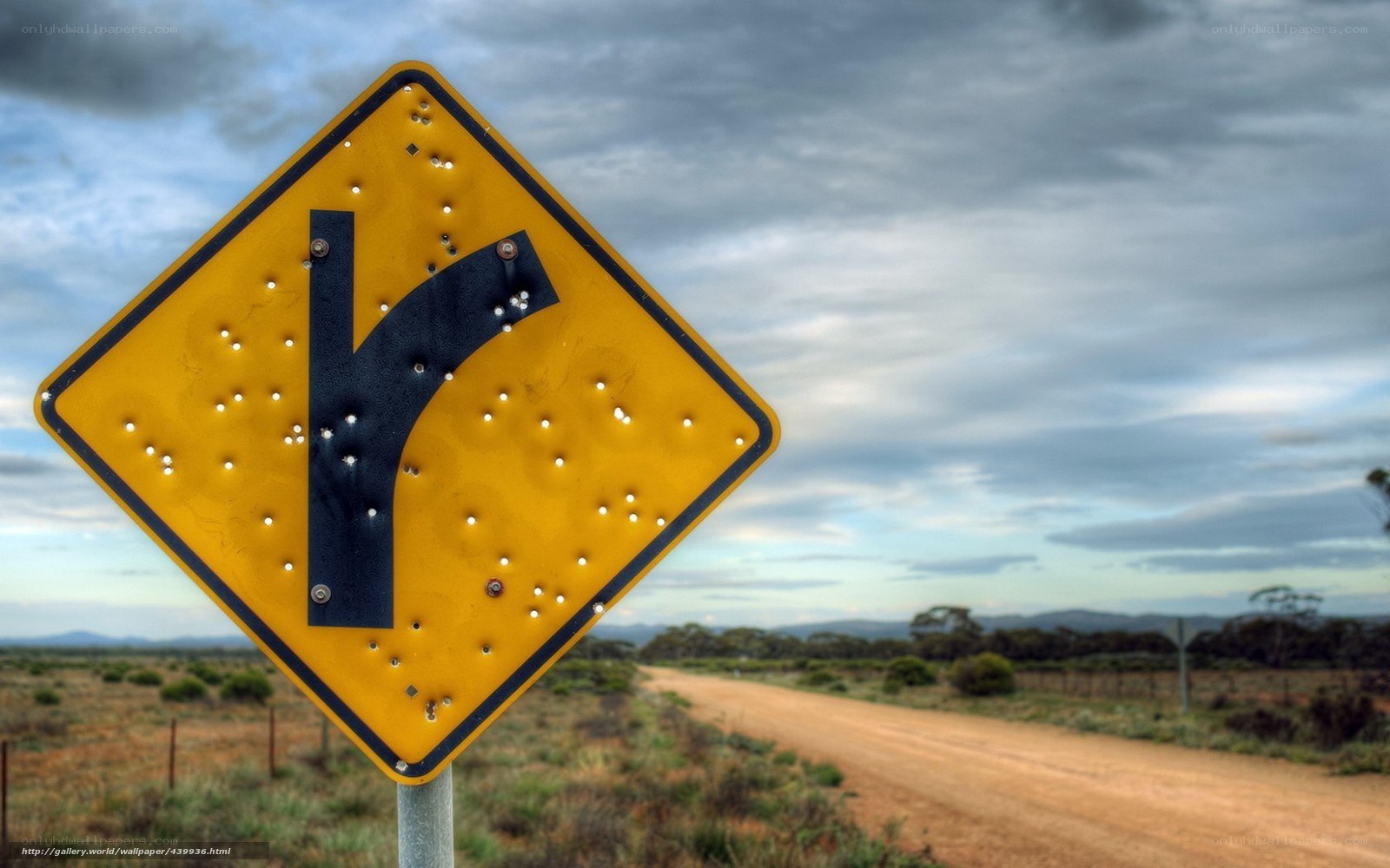 Bullet-riddled road sign
