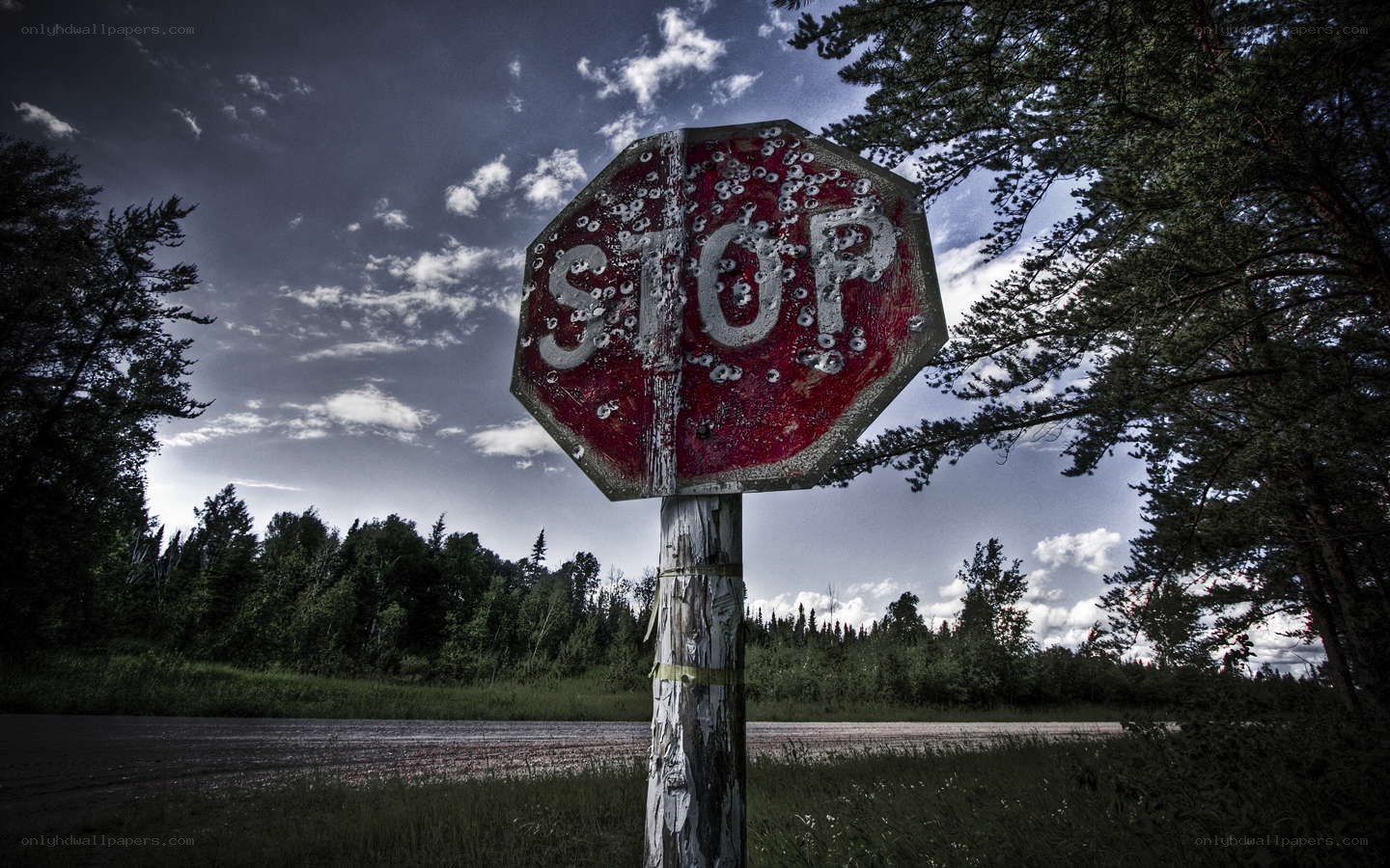 Bullet-riddled stop sign