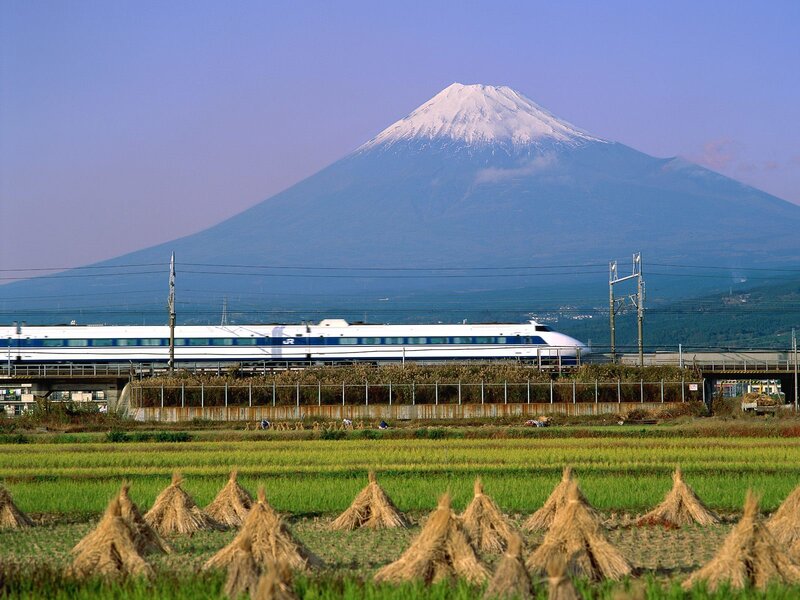 Bullet Train in Field