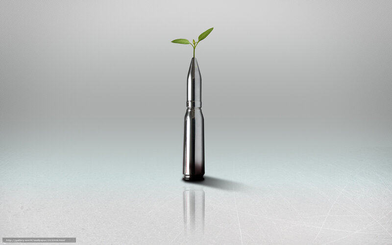 Bullet with sprouting plant