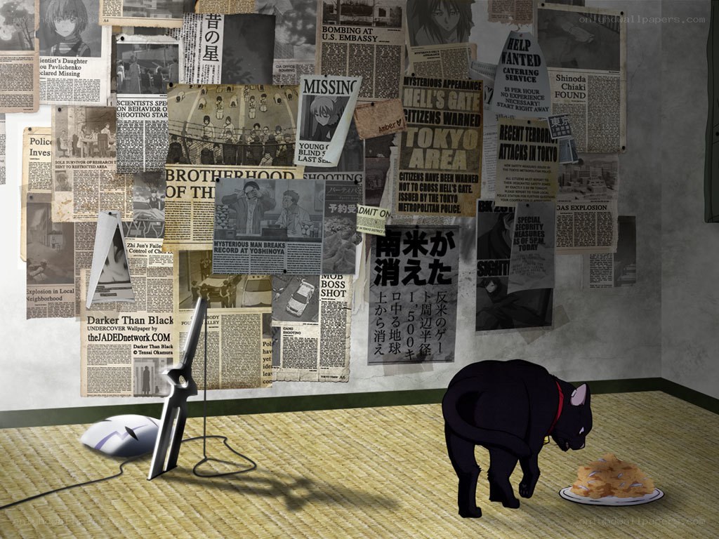 bulletin board with cat eating