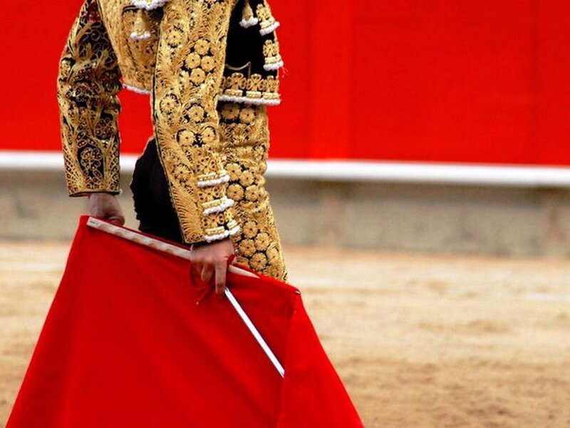 Bullfighter Holding Cape