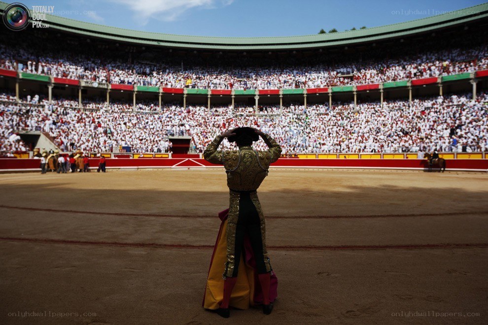 Bullfighter in the arena