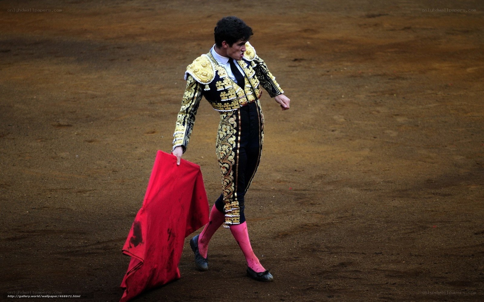 Bullfighter in the arena