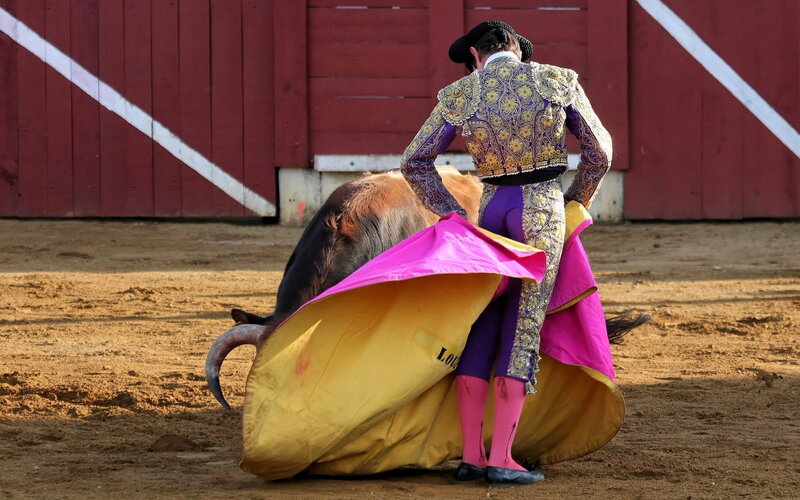 Bullfighter with Cape — Red
