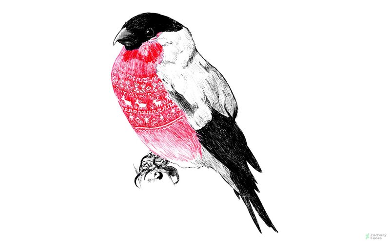 Bullfinch Bird — Red