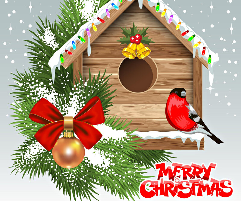 Bullfinch on Birdhouse