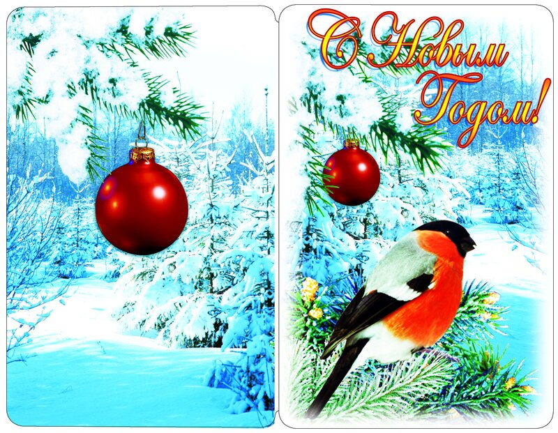 Bullfinch on Branch — Red