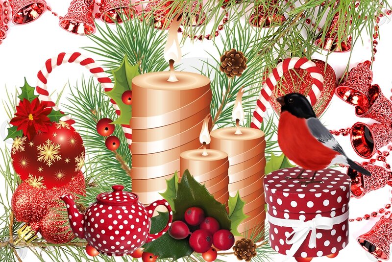 Bullfinch on Gift Box