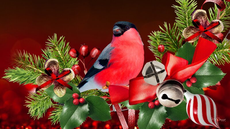 Bullfinch on Holiday Branch