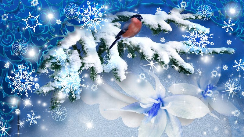 Bullfinch on Snowy Branch — Blue, Festive