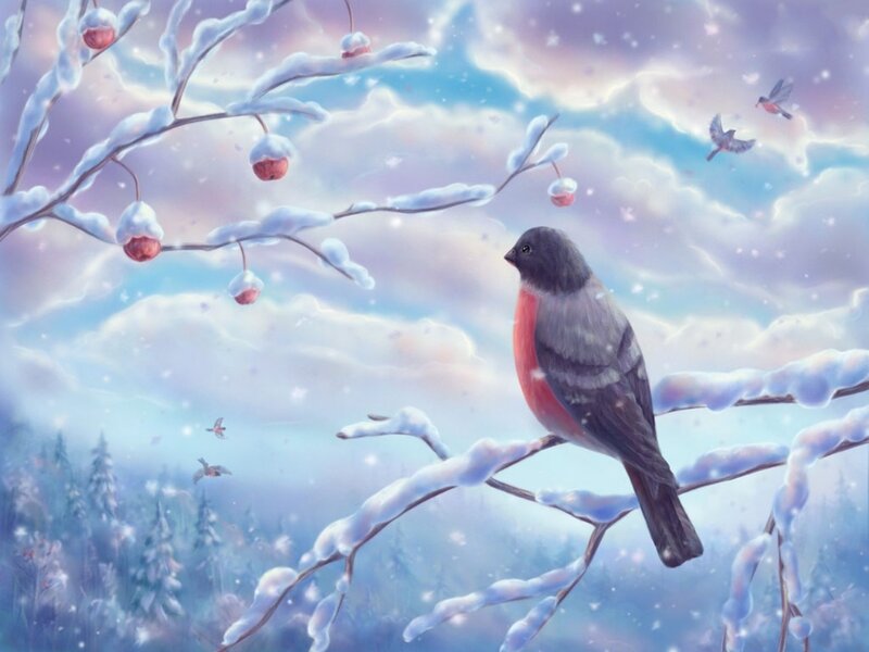 Bullfinch on Snowy Branch — Blue