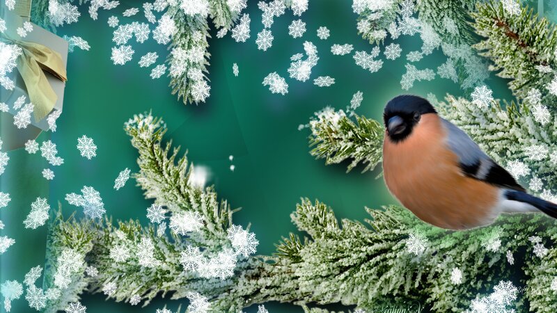 Bullfinch on Snowy Branch — Green, Festive