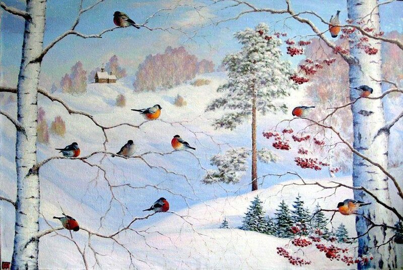 Bullfinches in Winter