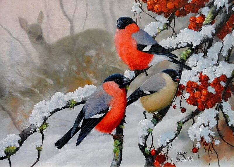 Bullfinches on Branch — Red