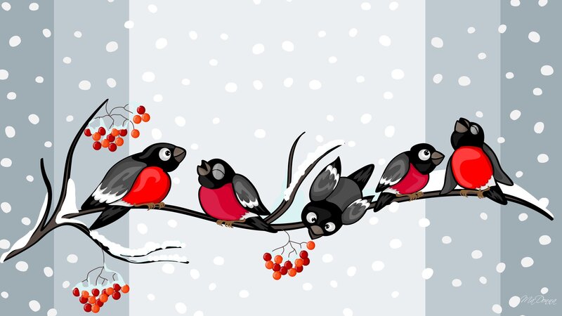 Bullfinches on Branch