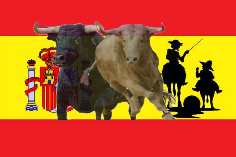 Bulls in Bullfighting