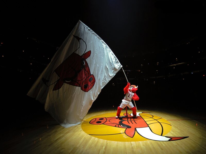 Bulls mascot with flag