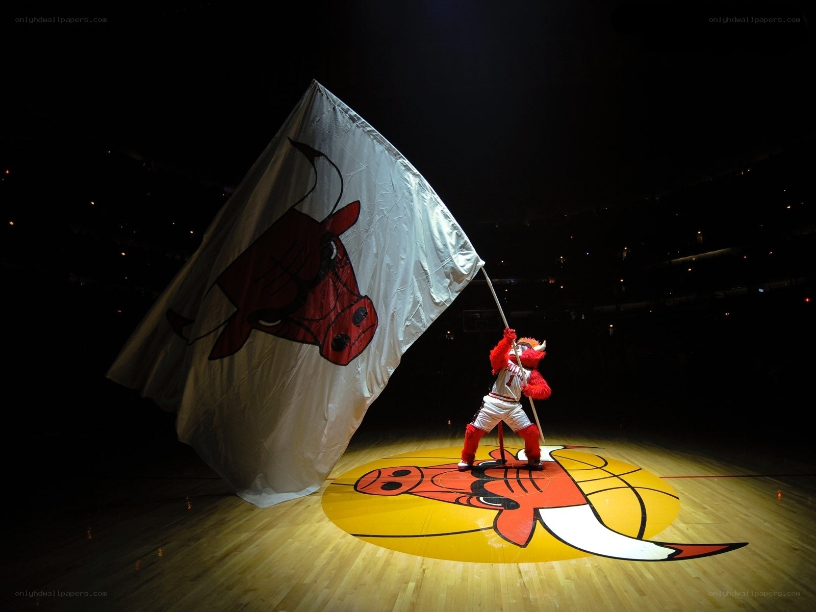 Bulls mascot with flag