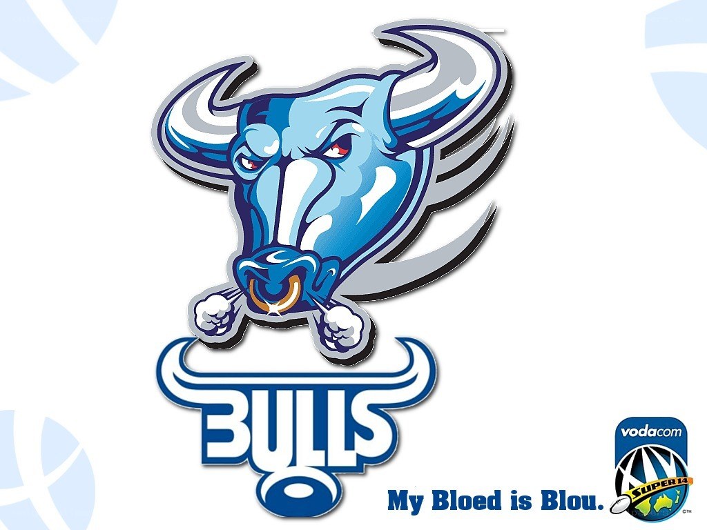 Bulls team logo