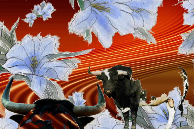Bulls with Flowers
