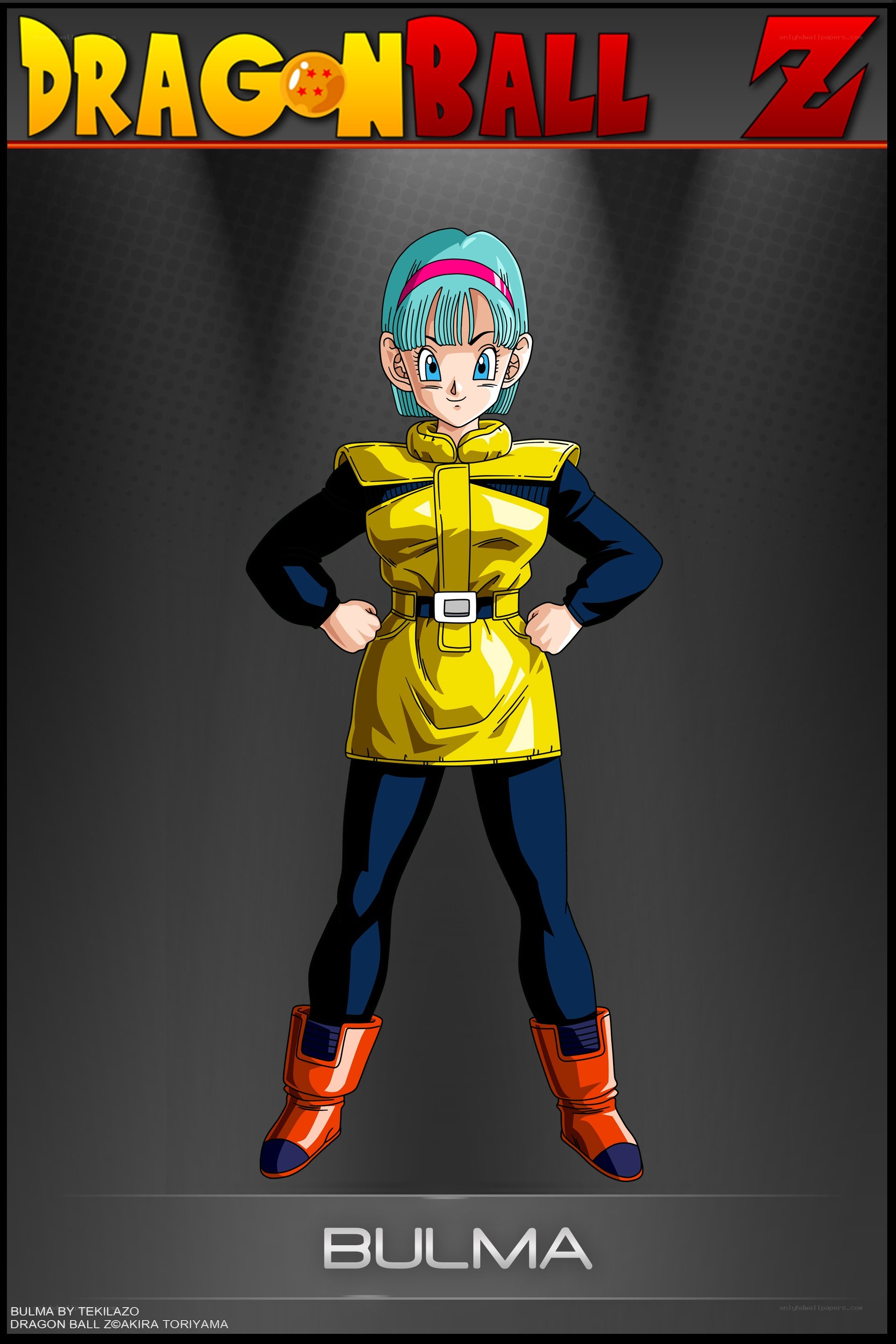 Bulma from Dragon Ball Z