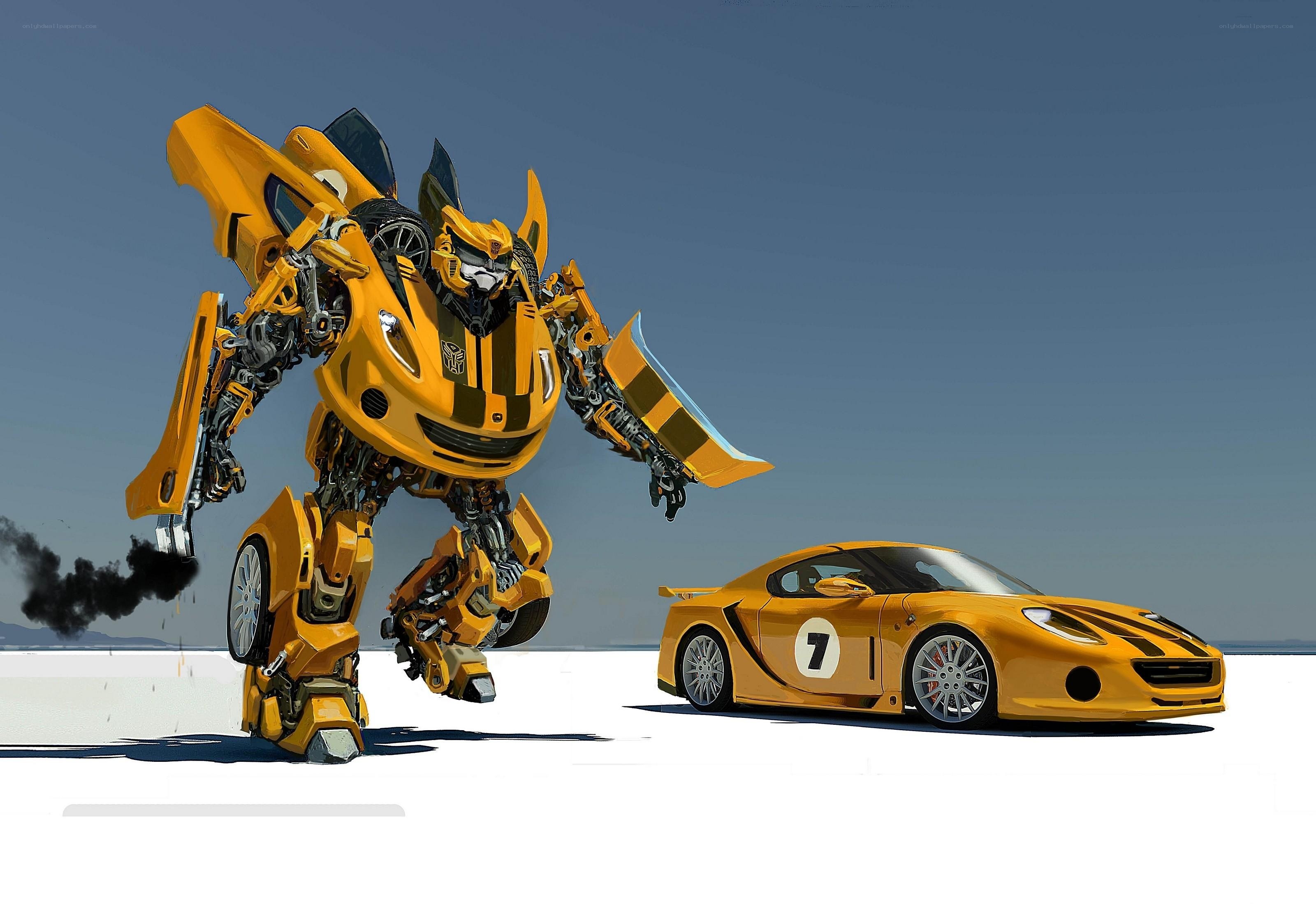 Bumblebee robot and car