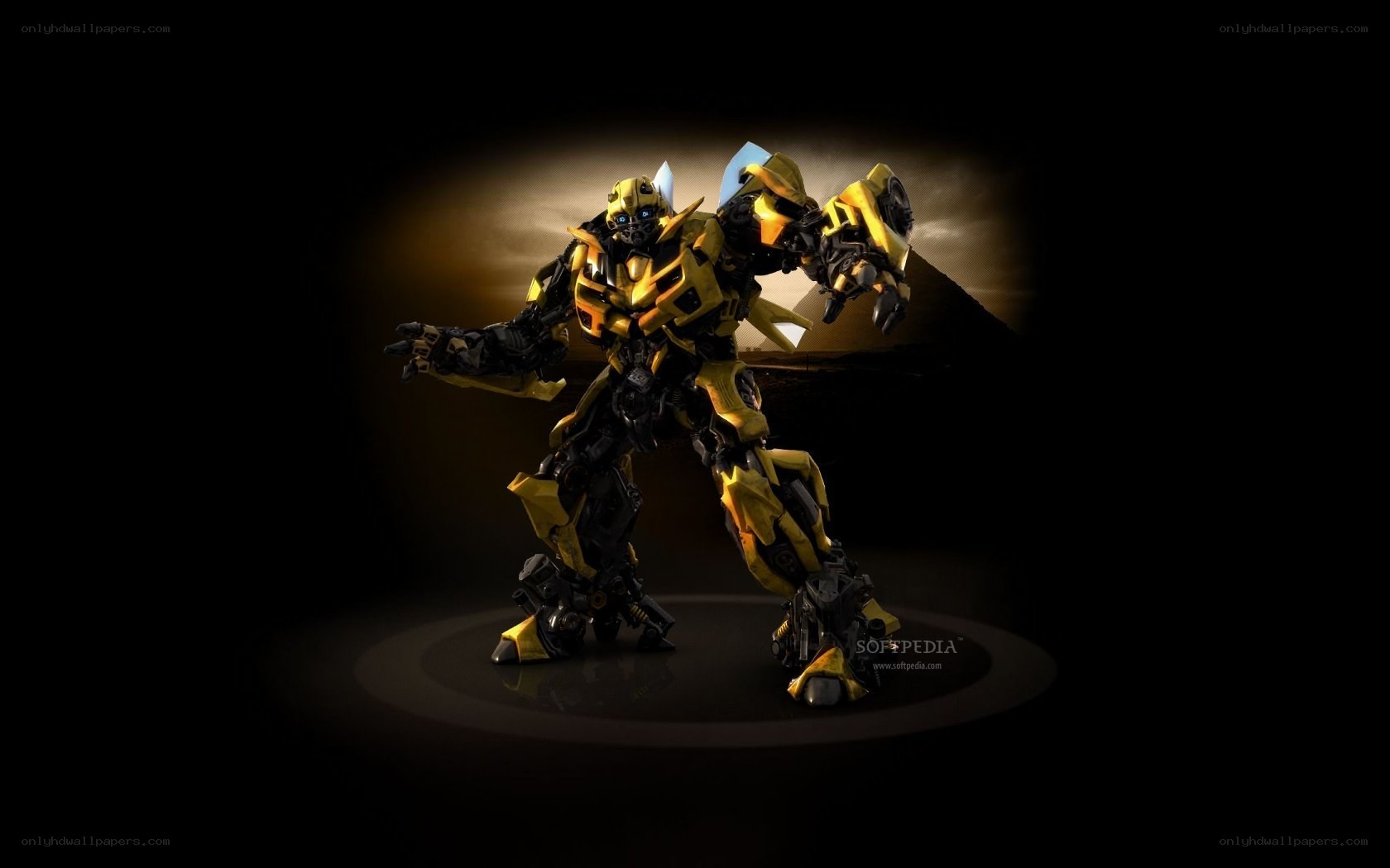Bumblebee robot in spotlight
