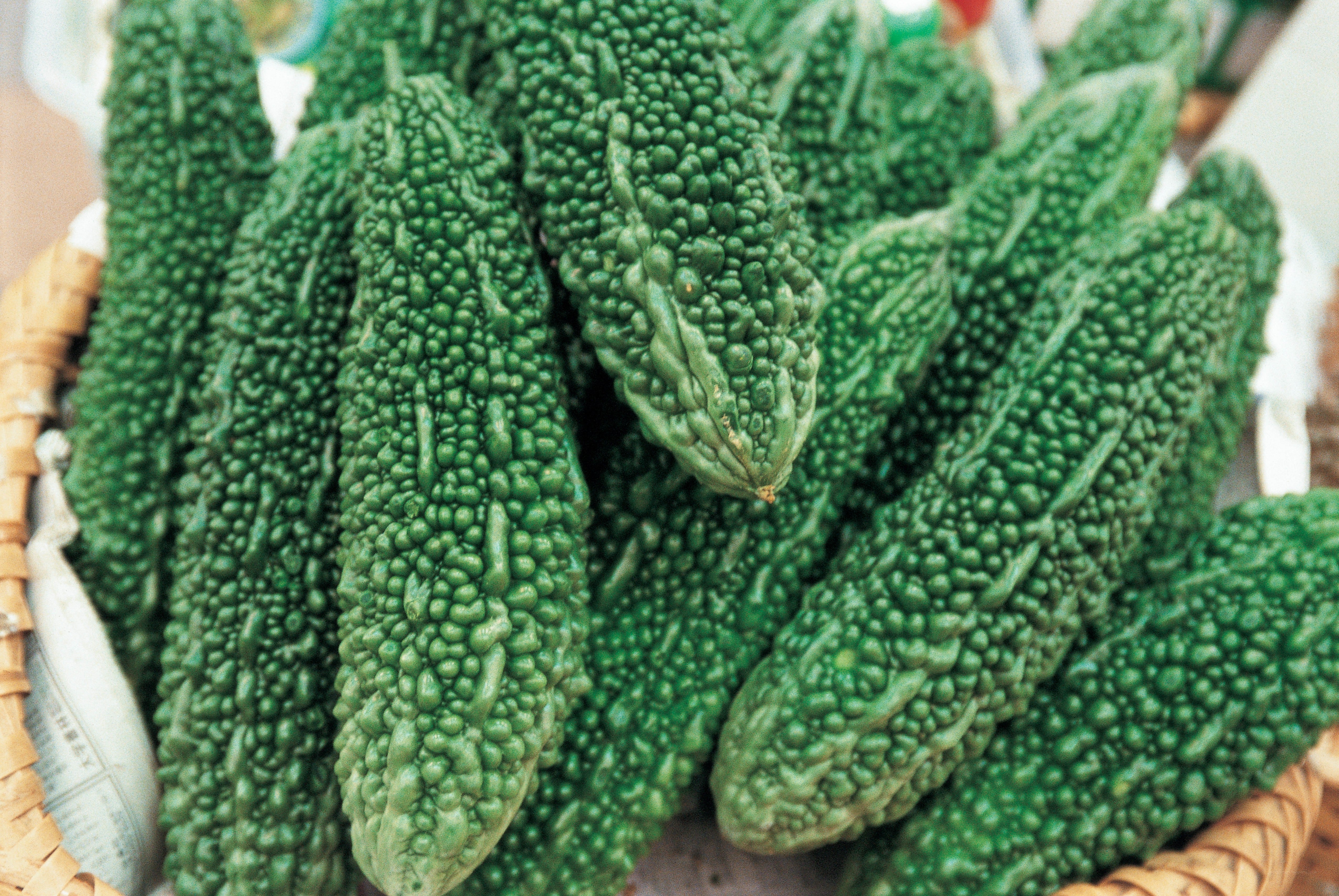 bumpy green bitter melons