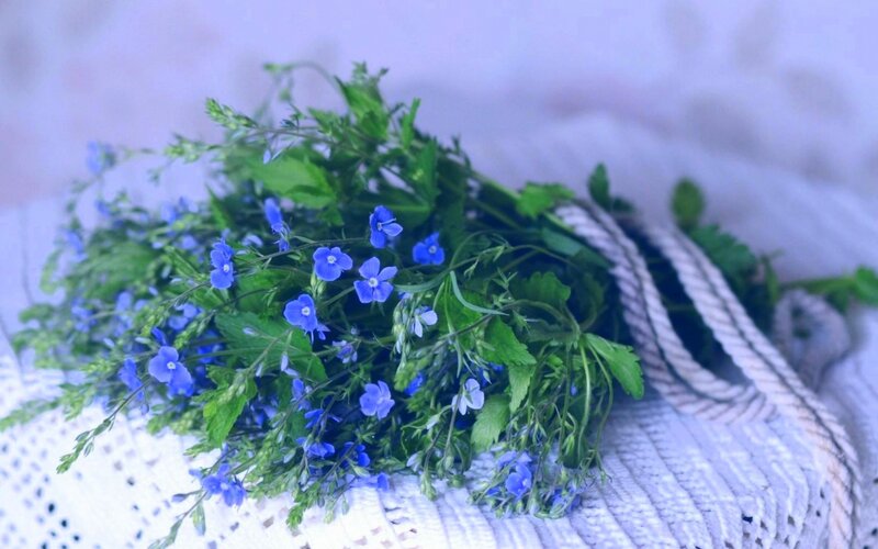 Bunch of Blue Flowers — Calm
