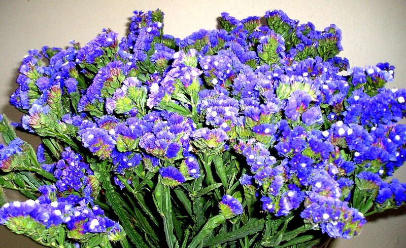 Bunch of Blue Flowers