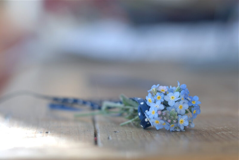 Bunch of Blue Forget-me-nots