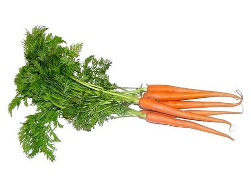 Bunch of Carrots with Greens