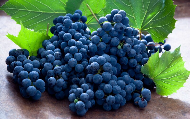 Bunch of Dark Grapes — Blue, Natural