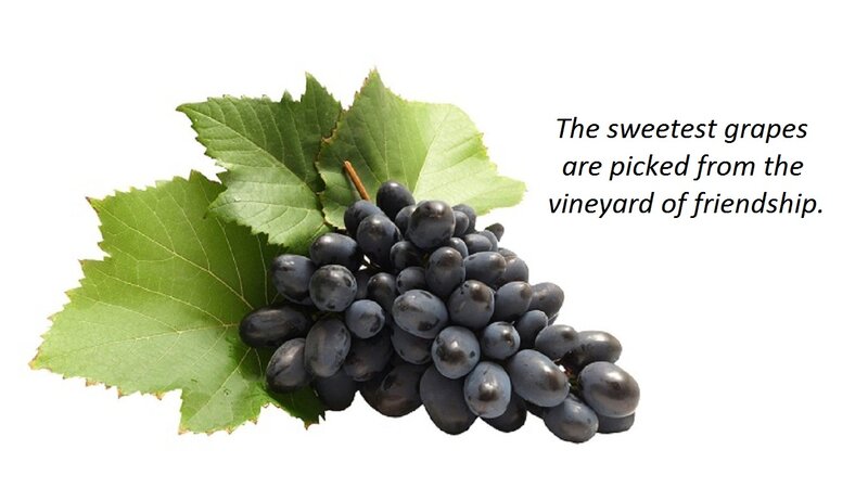 Bunch of Dark Grapes — Green
