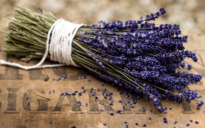 Bunch of Dried Lavender — Purple