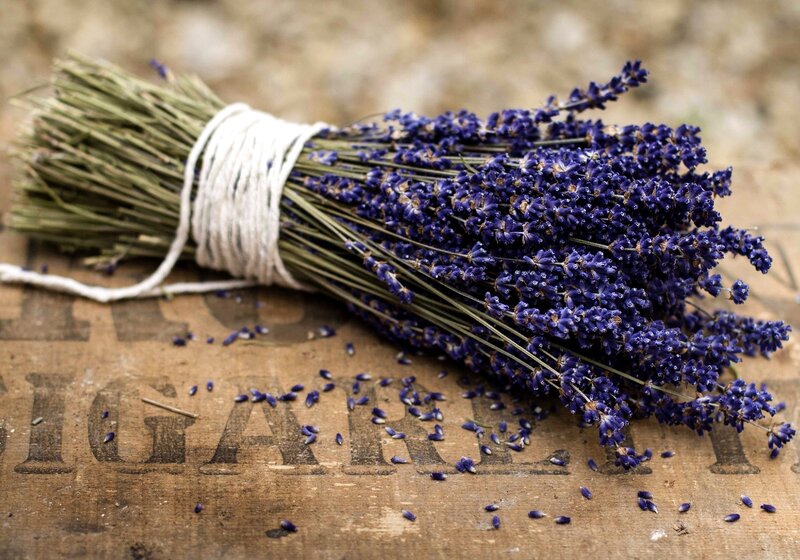 Bunch of Dried Lavender